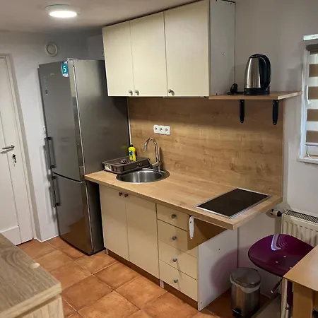 Meadow Tranquil With Evergreen Garden - * Zirovnica