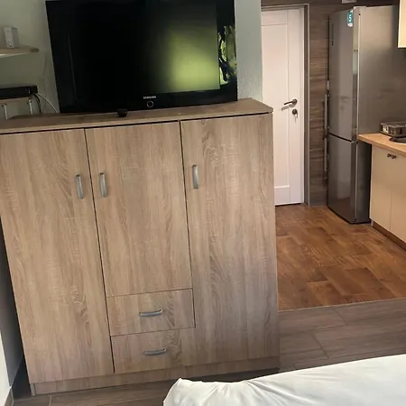 Meadow Tranquil With Evergreen Garden - Zirovnica