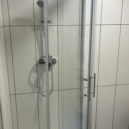 Meadow Tranquil With Evergreen Garden -