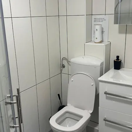 Meadow Tranquil With Evergreen Garden - *