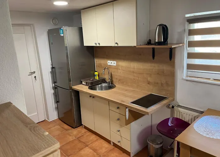 Meadow Tranquil With Evergreen Garden - * Zirovnica