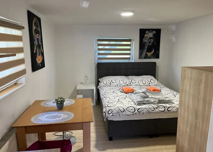 Meadow Tranquil With Evergreen Garden - Zirovnica