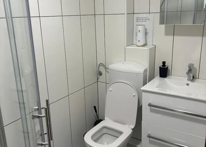 Meadow Tranquil With Evergreen Garden - *