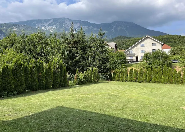 Apartman Meadow Tranquil With Evergreen Garden - *